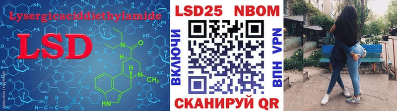 где купить наркоту  Кондопога  ЛСД экстази ecstasy 