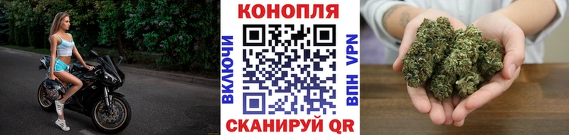 Бошки марихуана Amnesia  Кондопога 